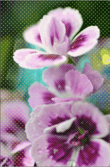 Flower Flowers GIF - Flower Flowers Cristina Burns GIFs