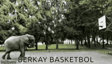 Berkay Berkay Fil GIF - Berkay Berkay Fil Berkay Basketbol GIFs