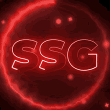 Ssg GIF