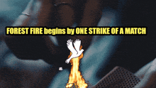 a person lighting a match with the words forest fire begins by the strike of a match