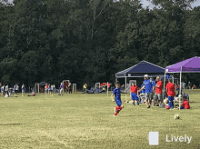a group of kids are playing soccer on a field with a lively logo