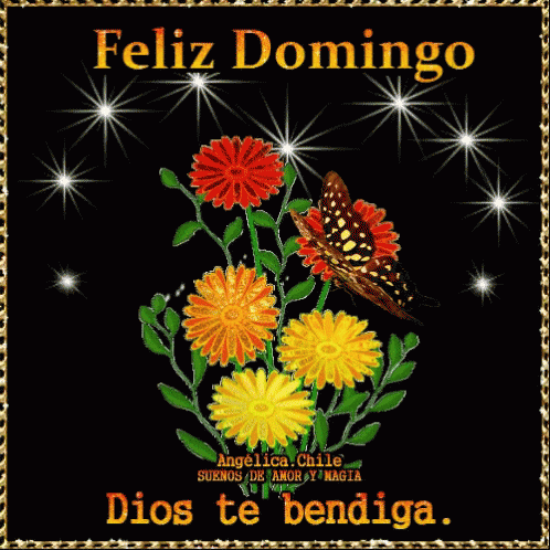  Domingo Sunday GIF - Domingo Sunday Dios - Discover
