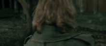 Harry Potter Brendan Gleeson GIF - Harry Potter Brendan Gleeson Alastor Moody GIFs