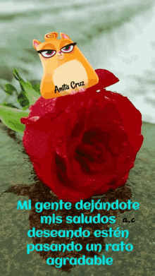Saludes GIF - Saludes GIFs