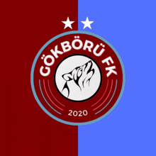 a logo for gokboru fk with a wolf and the year 2020