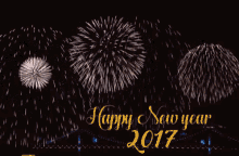 Happy New Year Fireworks GIF - Happy New Year Fireworks Explosion GIFs