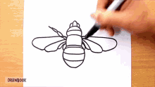 a person is drawing a bee on a piece of paper with drawbook in the corner