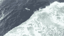 Slipping Surfers Slide Into The Surf Hit By Waves GIF - Slipping Surfers Slide Into The Surf Surfer Slide GIFs