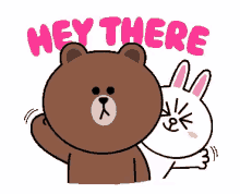 brown bear and cony hey there