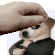 a close up of a person 's hand touching a dog 's face .