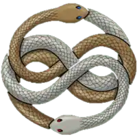 a drawing of two snakes wrapped around each other