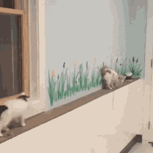 Kittens Excuse Me GIF - Kittens Excuse Me Cute GIFs