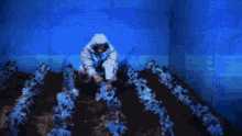 a person in a hooded jacket is kneeling down in a field of blue flowers