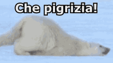 Pigro Pigrizia Svogliato Orso Polare GIF - Lazy Laziness Listless GIFs