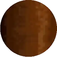 a pixelated image of a brown circle