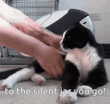 a black and white cat with the words to the silent jar you go written below it