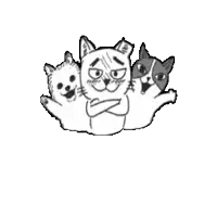 a group of three cats are standing next to each other on a white background .