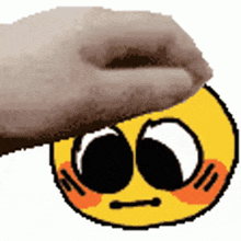 a person is petting a smiley face with a slipper on it .