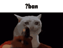 Ban Banned GIF - Ban Banned Discord GIFs