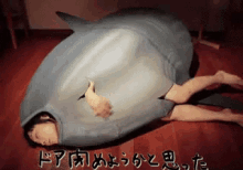 Molamola Sunfish GIF - Molamola Sunfish Japanese GIFs