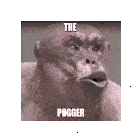 Poggers The Pogger Sticker - Poggers The Pogger Pogchamp Stickers