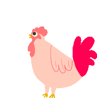 Chicken Confuse Sticker - Chicken Confuse Rooster Stickers