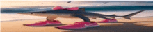 a shark is wearing a pair of pink nike shoes on the beach .