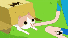 ダンボール 猫　舐める　ぺろぺろ GIF - Cardboard Box Cat Lick GIFs