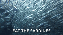 Sardines National Sardines Day GIF - Sardines National Sardines Day Sardines Day GIFs