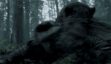 Bear Bear Bear Just Lie There Dont Move Unless GIF - Bear Bear Bear Just Lie There Dont Move Unless Revenant GIFs