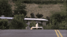 Dumb And Dumber Jumping GIF - Dumb And Dumber Jumping Happy GIFs