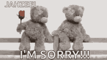 Im Sorry Teddy Bear GIF - Im Sorry Teddy Bear Rose GIFs