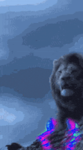 a picture of a lion with the word ebru on the bottom