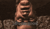 a picture of a man 's face with the words " life no good " written below it