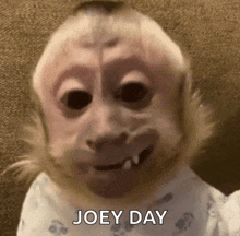 a monkey with a baby 's face and teeth is smiling and says joey day .