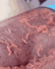 Worms Eating GIF - Worms Eating Cool GIFs