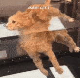 a cat is floating in a glass tank with the words water car 2 above it