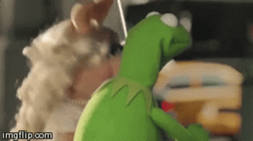 Kermit shrug