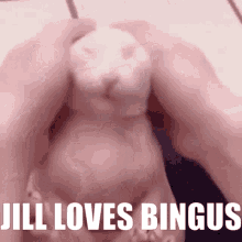 Jill Loves GIF - Jill Loves Bingus GIFs