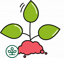 green health plant tree leaf