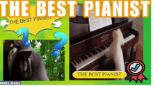 Dogs Play Piano GIF