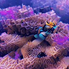 Queen Of The Reef Virtualdream GIF - Queen Of The Reef Virtualdream Nft GIFs