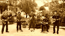 Bodoi Band GIF