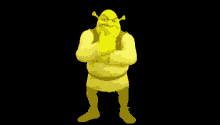 Golden Shrek Daiken Golden GIF - Golden Shrek Daiken Golden Shrek GIFs
