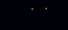 a close up of a statue with glowing eyes and a purple background