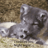 Goodnight Cuddles GIF - Goodnight Cuddles GIFs