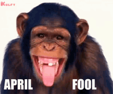 april fool funny just kidding gif monkey