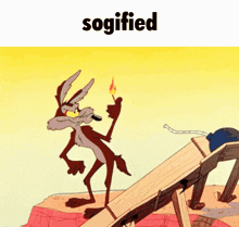 Sogified GIF