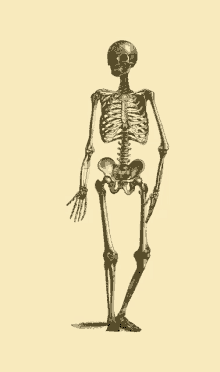 Skeleton Waving GIF - Skeleton Waving Hi GIFs