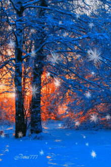 Snow GIF - Nature GIFs